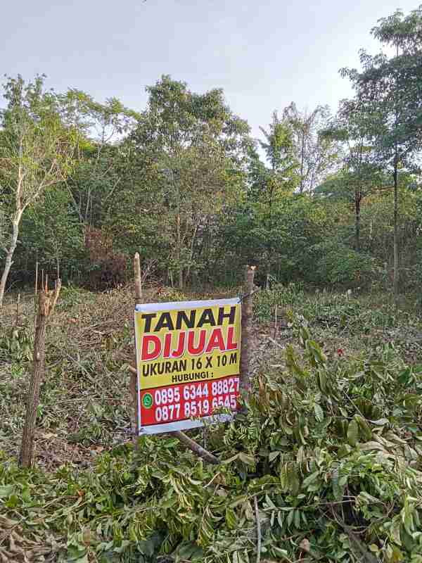 tanah